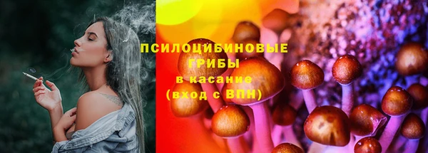 соль ск Аркадак