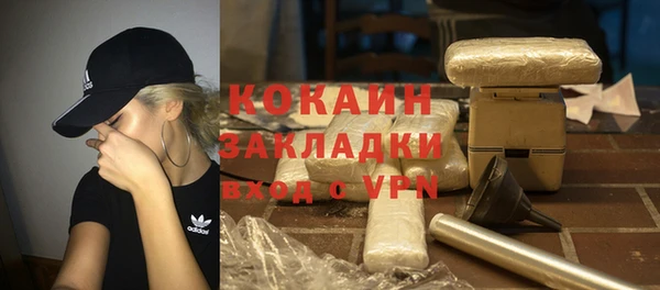 соль ск Арсеньев