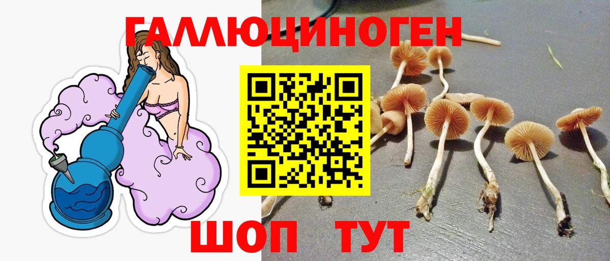 Галлюциногенные грибы мицелий  Вход с VPN  Крымск 
